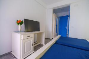 a living room with a television and a blue rug at Pensiunea Dolosman in Jurilovca