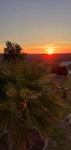 a sunset with a palm tree in the foreground at ***** Quinta Do Pôr do Sol ***** in Figueira da Foz