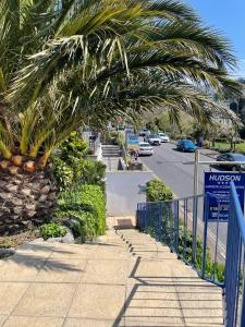 una cerca azul junto a una calle con una palmera en Hotel Hudson, en Torquay