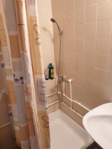 Kuća za odmor - Martić, Rudno, Golija في كرالييفو: حمام مع دش مع مرحاض ومغسلة