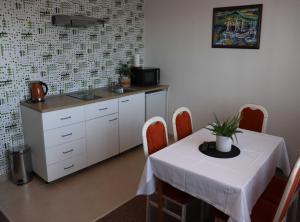 Kuchyňa alebo kuchynka v ubytovaní Pension Restaurace Florián