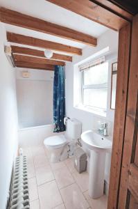 a bathroom with a toilet and a sink at Cosy cottage for 2, sea views, large grounds. WiFi in Newport Pembrokeshire