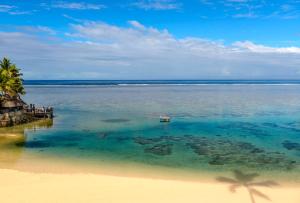 a beach with a palm tree and the ocean at The Warwick Fiji in Korolevu +37 photos