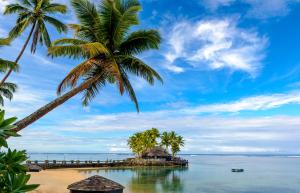 a tropical beach with palm trees and a pier at The Warwick Fiji in Korolevu