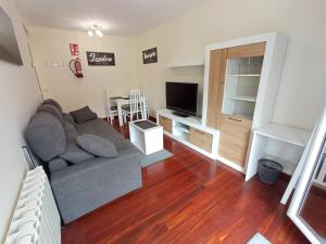 sala de estar con sofá y TV en APARTAMENTO LAS FRAGUAS en Ampuero