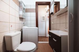 a small bathroom with a toilet and a sink at DINA'S Apartment in Kos in Kaká Pinári +21 photos
