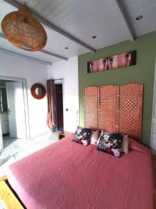 プエルト・デル・ロサリオにあるKikiki Houseのベッドルーム1室(ピンクの毛布付きの大型ベッド1台付)