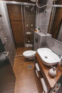 尼什的住宿－City Centar House，浴室配有卫生间、盥洗盆和淋浴。