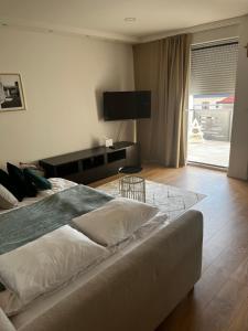 TV a/nebo společenská místnost v ubytování Central apartment/free parking/free wifi