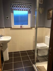 a bathroom with a toilet and a sink and a window at Strath View on the NC 500 in Culbokie +14 photos