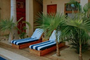 Photo de la galerie de l'établissement Hotel Casa Tota, à Todos Santos