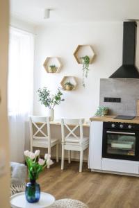 Kuchyň nebo kuchyňský kout v ubytování KVARTÝR - nový apartmán na náměstí v České Lípě