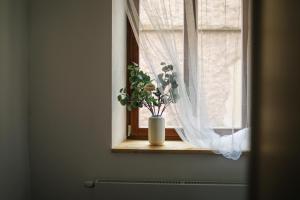 Fotografie z fotogalerie ubytování KVARTÝR - nový apartmán na náměstí v České Lípě v destinaci Česká Lípa