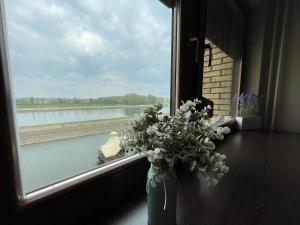 a vase of flowers sitting on a window sill at Riverside Luxury Apartment in Osijek
