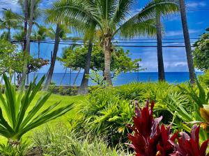 a garden with palm trees and the ocean in the background at YOUR HAWAIIAN TROPICAL GARDEN VIEW STUDIO - KONA ISLANDER INN CONDOS condo in Kailua-Kona