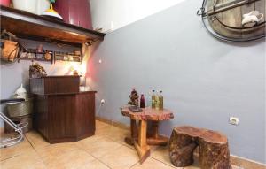 Kuchyň nebo kuchyňský kout v ubytování Holiday Home Melnica Iii