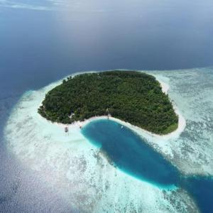 an island in the ocean with turquoise water at Wai Resort - Raja Ampat in Pulau Birie