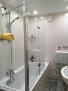 ein Bad mit einer Dusche, einem WC und einem Waschbecken in der Unterkunft Ferienwohnung Tauchen im Kreidesee in Hemmoor