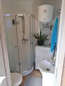 a bathroom with a shower and a toilet and a sink at Apartament Antonio 2 Gdańsk in Gdańsk