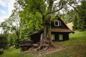 ein schwarzes Haus mit einem Baum davor in der Unterkunft Chaloupka Prischlop in Velké Karlovice