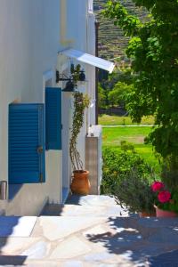 A garden outside Anemomiloi Studios