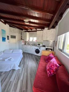 ein Wohnzimmer mit einem Bett und einem roten Sofa in der Unterkunft Mykonian beauty(beach spot) in Platis Gialos