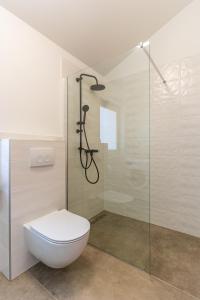 a bathroom with a toilet and a glass shower at Luxury Landing in Cres +27 photos