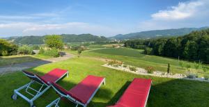 zwei rote Stühle auf einem grünen Feld in der Unterkunft Gasthof zum Moosmann - Familie Pachernigg in Arnfels