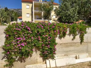 Fotografia z galérie ubytovania Hvar Apartment v destinácii Zavala