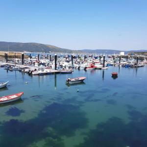 a bunch of boats are docked in a harbor at Apartamento Finisterra in Fisterra