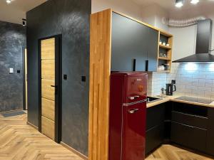 Kuchyňa alebo kuchynka v ubytovaní Apartment 07 Uniejów + 4 fotografie