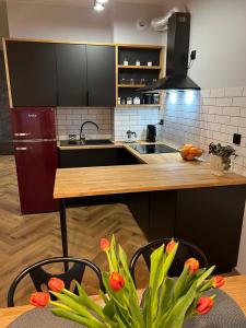 Kuchyňa alebo kuchynka v ubytovaní Apartment 07 Uniejów