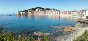 a large body of water with buildings and houses at Hotel Sereno in Sestri Levante