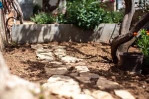 Fotografie z fotogalerie ubytování Nonna Vera's House v destinaci Komiža