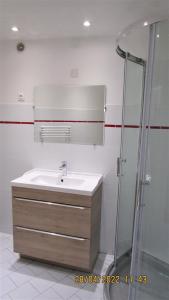 uma casa de banho com um lavatório e um chuveiro em NICE - STUDIO indépendant en VILLA - Mer ville calme jardinet em Nice