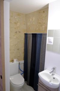 een badkamer met een toilet en een wastafel bij Le Clou in Chauvigny