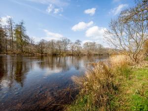 a view of a river with trees in the background at Holiday Home Lochness by Interhome in Contin