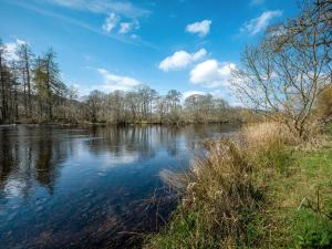 a view of a river with trees in the background at Holiday Home Isle of Skye by Interhome in Contin