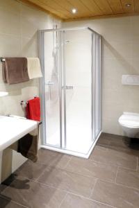 a bathroom with a shower and a toilet at Apartment Schuler - STA121 by Interhome in Nasserein