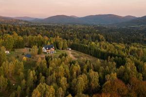 an aerial view of a house in the middle of a forest at Pod Wielką Zalesioną Górą in Wetlina