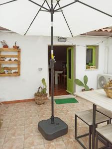 Patio nebo venkovní prostory v ubytování Ficodindia Rooms