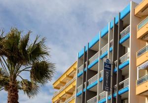 a building with a palm tree in front of it at Best Western Plus Hotel Canet-Plage in Canet-en-Roussillon