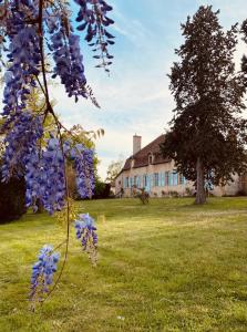 a tree with blue flowers in front of a building at Le brûlon in Bourg-le-Comte