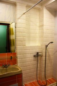 bagno con doccia e lavandino di motel Pid Strihoyu a Kremenčuk