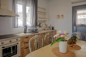 Kuchyňa alebo kuchynka v ubytovaní Villa Artemis (Agios Lazaros, Psarou)