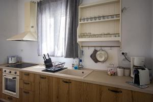 Kuchyňa alebo kuchynka v ubytovaní Villa Artemis (Agios Lazaros, Psarou)