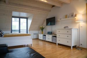 TV a/nebo společenská místnost v ubytování Stylový apartmán č. 8 U Venuše, Pavlov u Mikulova