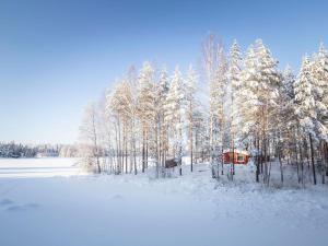HuuhanahoにあるHoliday Home Riihiniemi by Interhomeの雪に覆われた木々と家の森