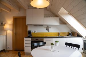 Eldhús eða eldhúskrókur á Stylový apartmán č. 8 U Venuše, Pavlov u Mikulova