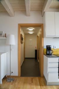 Eldhús eða eldhúskrókur á Stylový apartmán č. 8 U Venuše, Pavlov u Mikulova